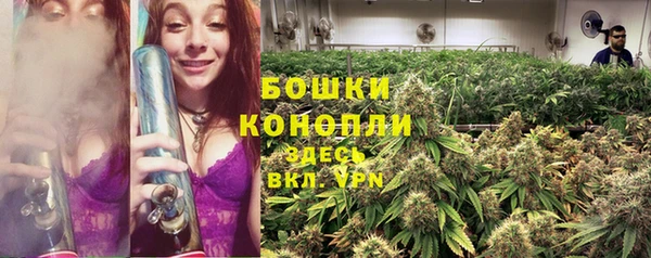 мет Бородино