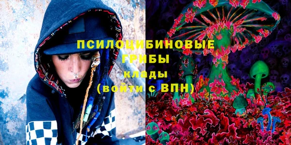 стаф Верхний Тагил